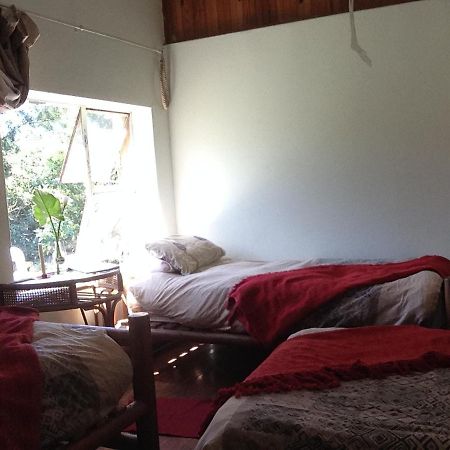 Dijembe Backpackers Lodge Stormsrivier Εξωτερικό φωτογραφία