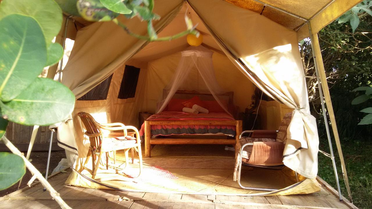 Dijembe Backpackers Lodge Stormsrivier Εξωτερικό φωτογραφία