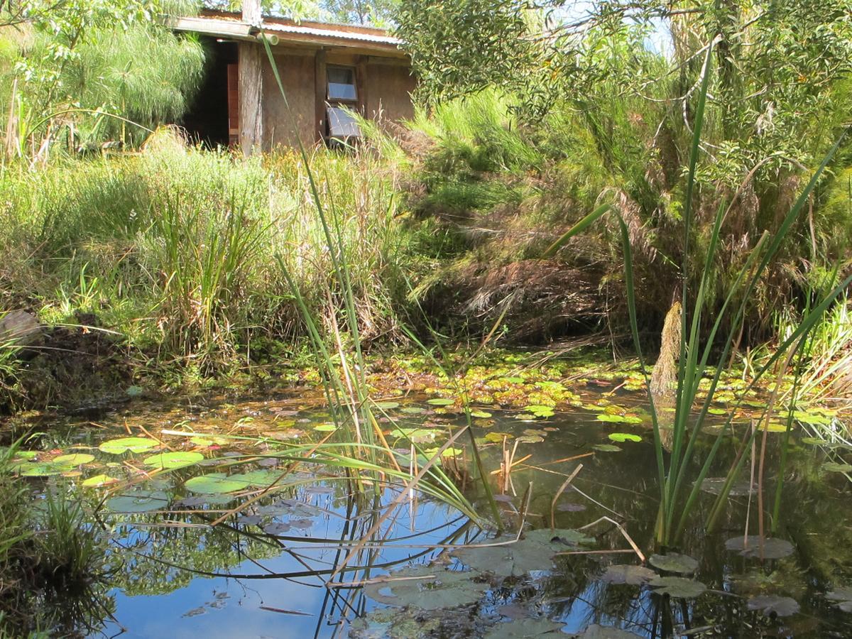 Dijembe Backpackers Lodge Stormsrivier Εξωτερικό φωτογραφία